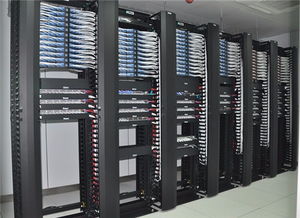 福田白沙岭安防监控与IT外包系统集成的全面解析